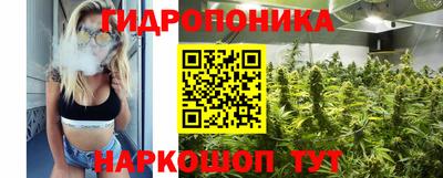 каннабис Кингисепп