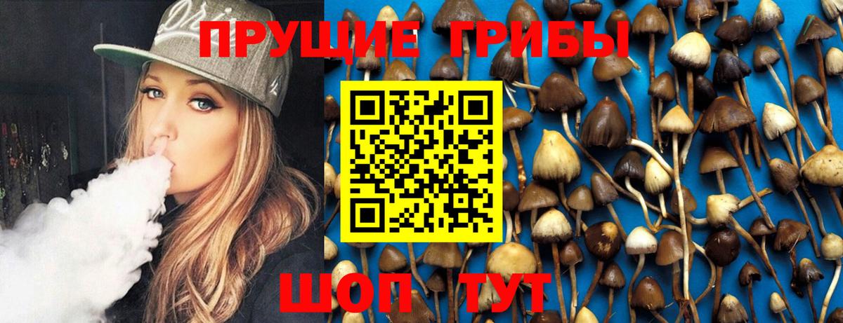 Псилоцибиновые грибы прущие грибы  Вход с VPN  Чапаевск  Галлюциногенные грибы прущие грибы 