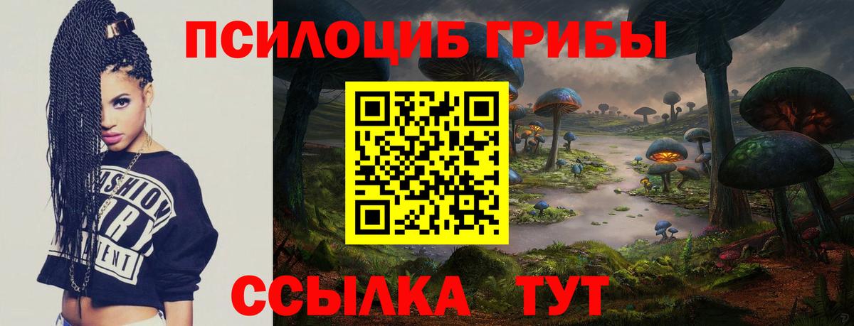 Псилоцибиновые грибы прущие грибы Чапаевск
